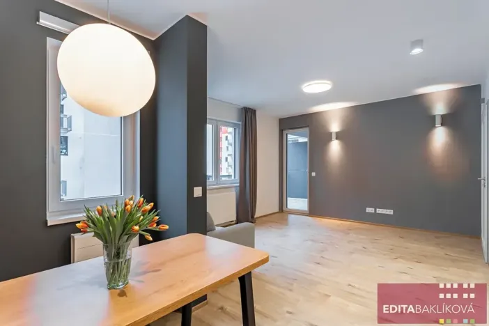 Pronájem bytu 2+kk, Olomouc, Eduarda Hamburgera, 57 m2