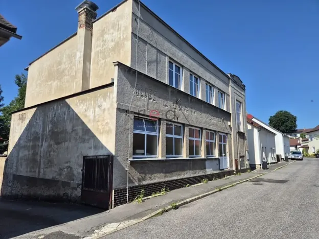Prodej lesa, 280 m², Nový Bor