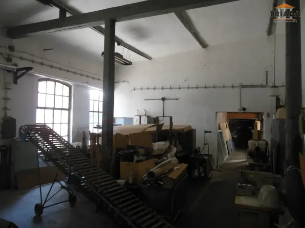 Prodej výrobních prostor, Stružinec, 10029 m2