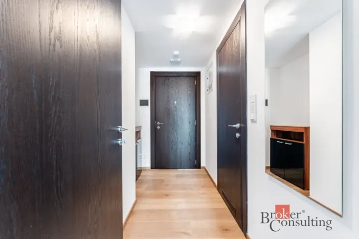 Pronájem bytu 1+kk, Olomouc - Nová Ulice, Třída Jiřího Pelikána, 31 m2