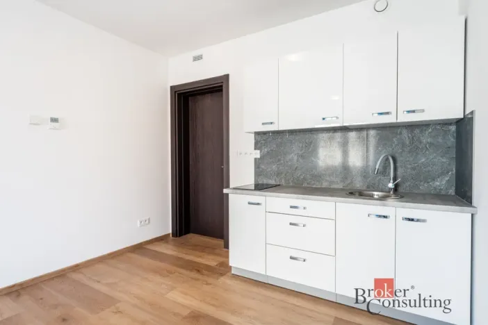 Pronájem bytu 1+kk, Olomouc - Nová Ulice, Třída Jiřího Pelikána, 31 m2