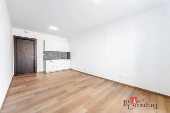 Pronájem bytu 1+kk, Olomouc - Nová Ulice, Třída Jiřího Pelikána, 31 m2