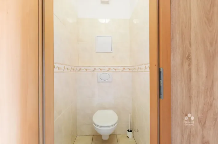 Pronájem bytu 1+kk, Praha - Podolí, Dvorecká, 55 m2