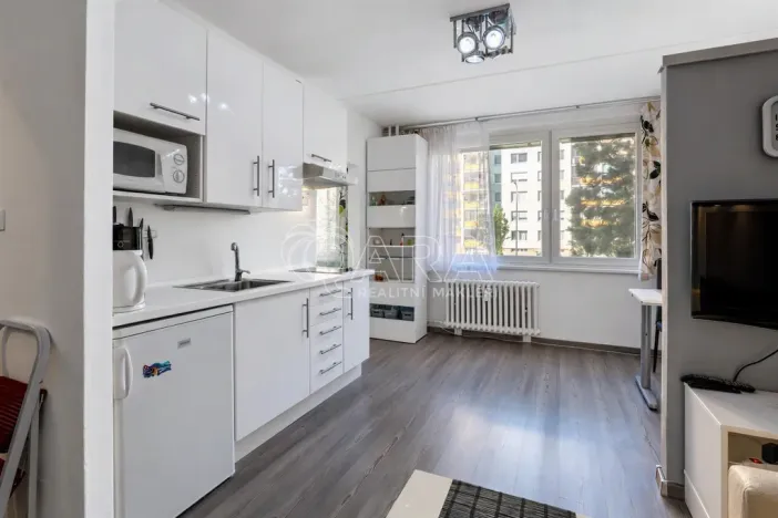 Prodej bytu 1+1, Praha - Chodov, Brodského, 29 m2