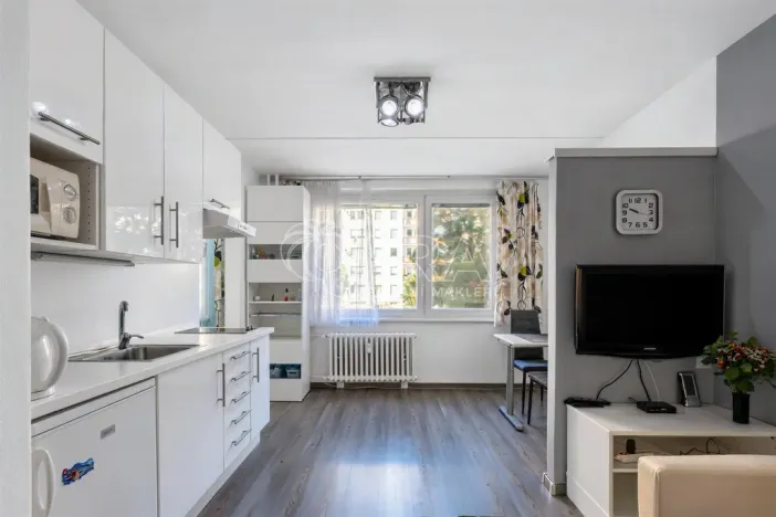 Prodej bytu 1+1, Praha - Chodov, Brodského, 29 m2