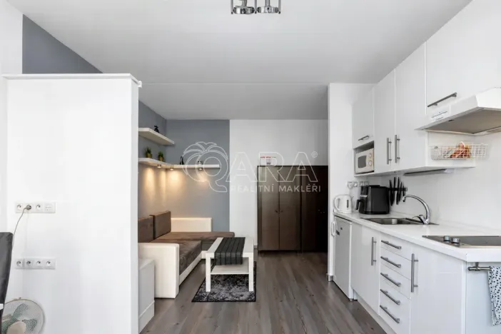 Prodej bytu 1+1, Praha - Chodov, Brodského, 29 m2