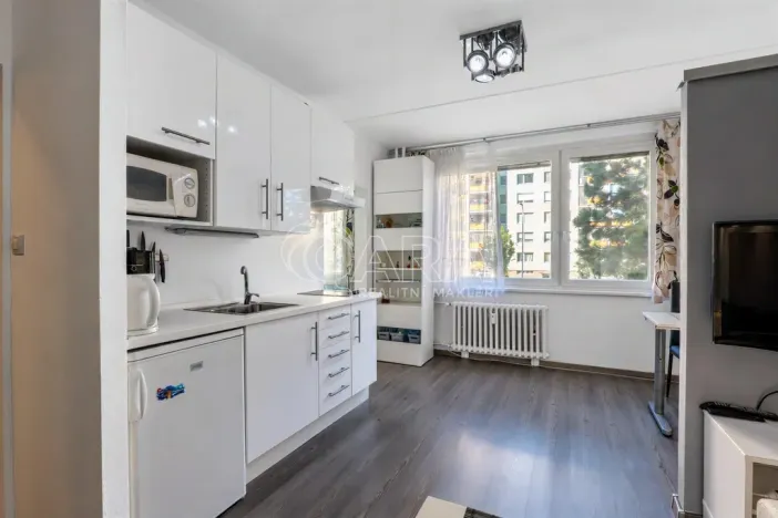 Prodej bytu 1+1, Praha - Chodov, Brodského, 29 m2