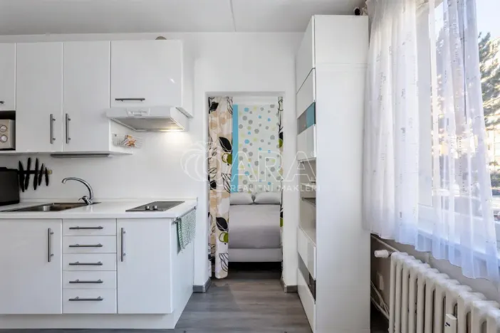 Prodej bytu 1+1, Praha - Chodov, Brodského, 29 m2