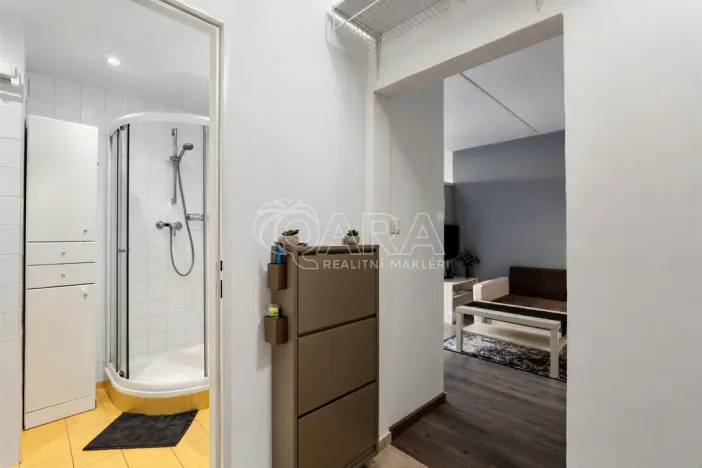 Prodej bytu 1+1, Praha - Chodov, Brodského, 29 m2