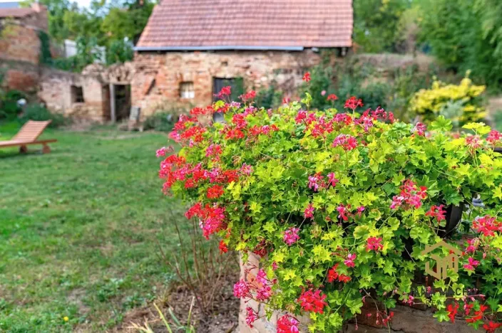 Prodej rodinného domu, Brumovice, 140 m2