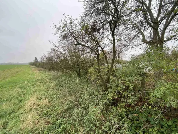 Prodej pozemku, Opolany, 1293 m2
