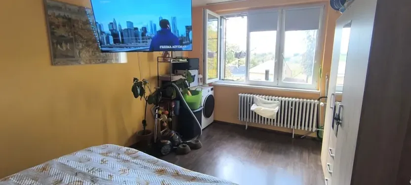 Pronájem bytu 1+1, Aš, Tylova, 36 m2