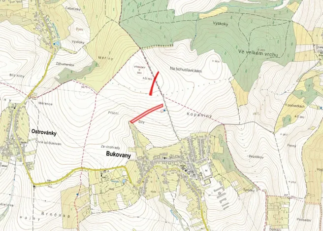 Prodej pole, Bukovany, 8685 m2