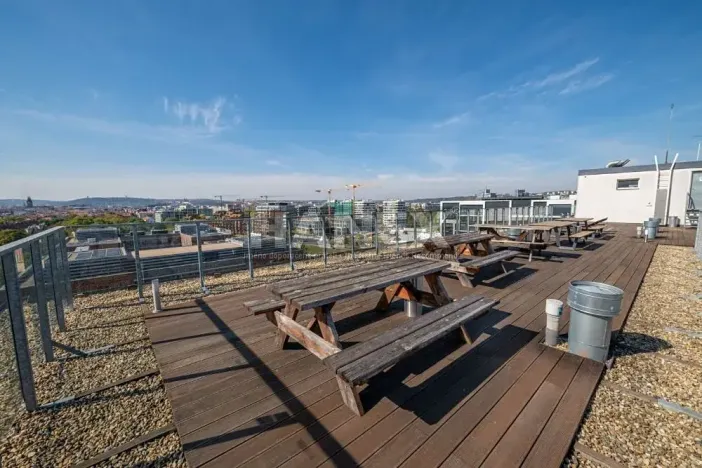Pronájem bytu 1+kk, Praha - Karlín, Molákova, 36 m2