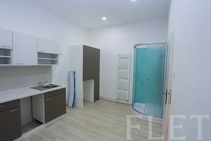 Pronájem bytu 1+1, Praha - Žižkov, Chelčického, 45 m2