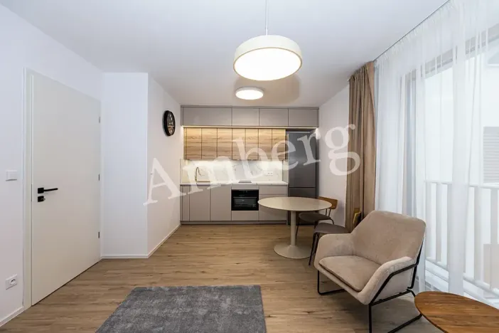 Pronájem bytu 1+kk, Praha - Karlín, Křižíkova, 32 m2
