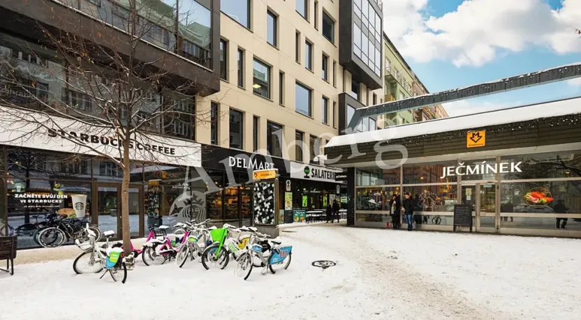 Pronájem bytu 1+kk, Praha - Karlín, Křižíkova, 32 m2