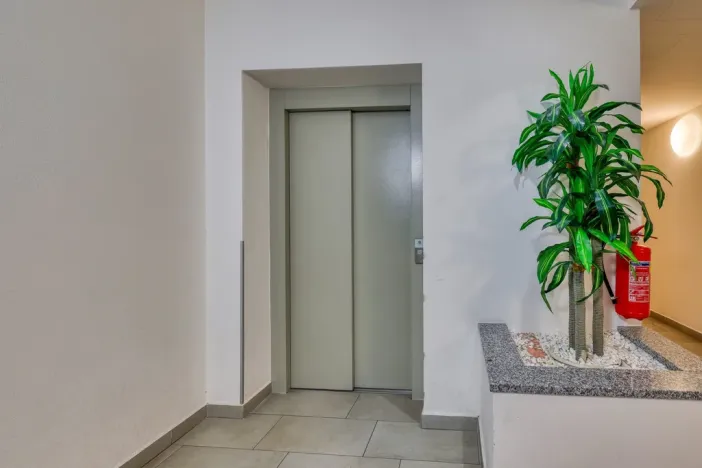 Prodej bytu 2+1, Plzeň, U Borských kasáren, 57 m2