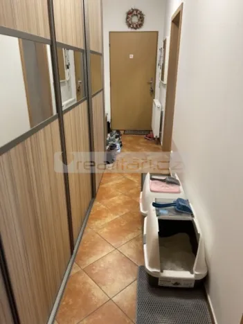 Prodej bytu 2+kk, Plzeň - Severní Předměstí, Elišky Krásnohorské, 67 m2