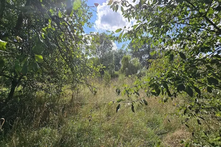 Prodej rodinného domu, Libáň - Zliv, 100 m2