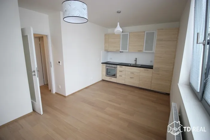 Pronájem bytu 2+kk, Brno, Mlýnská, 38 m2