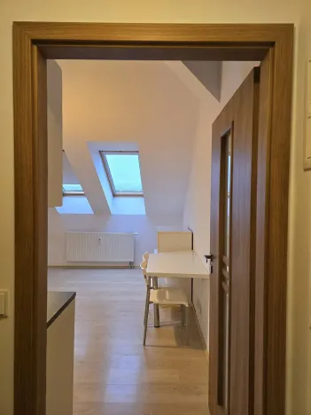 Pronájem bytu 1+kk, Plzeň, Čelakovského, 20 m2