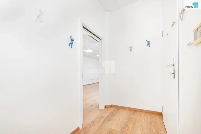 Pronájem bytu 1+kk, Praha - Vršovice, Smolenská, 48 m2