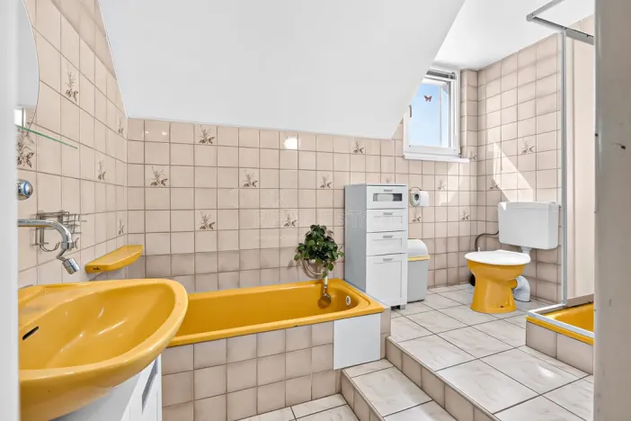 Prodej rodinného domu, Janovice nad Úhlavou, Spartakiádní, 370 m2