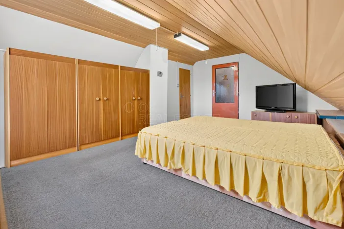 Prodej rodinného domu, Janovice nad Úhlavou, Spartakiádní, 370 m2