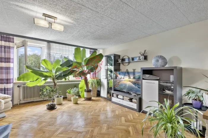 Prodej rodinného domu, Brodce, Pod ZDŠ, 160 m2