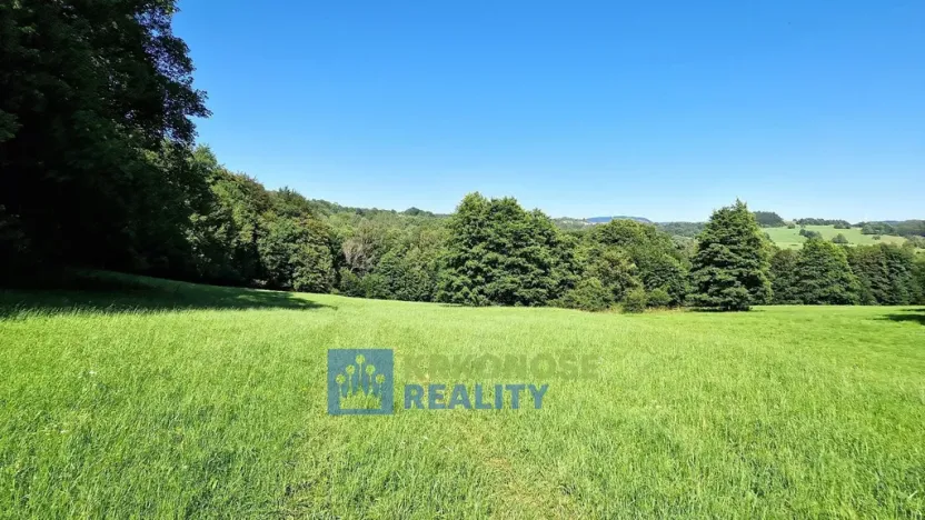 Prodej louky, Trutnov - Babí, 22776 m2