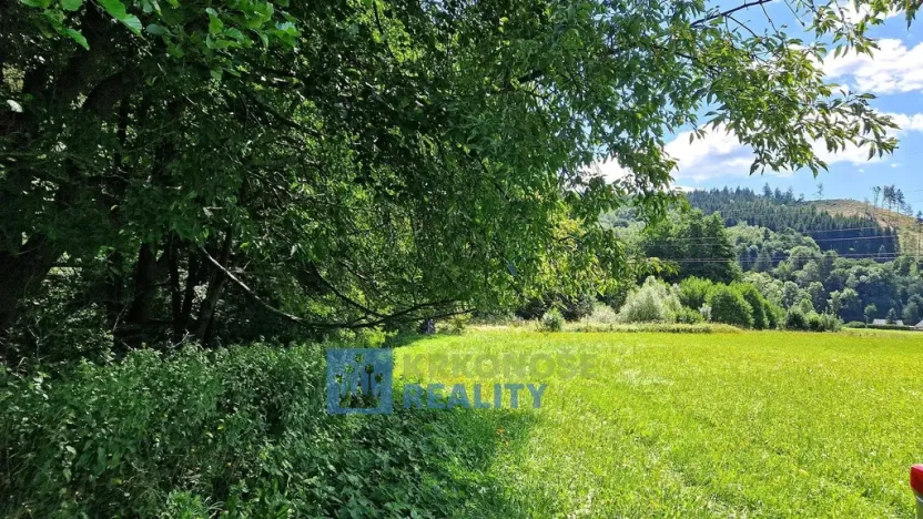 Prodej louky, Trutnov - Babí, 22776 m2