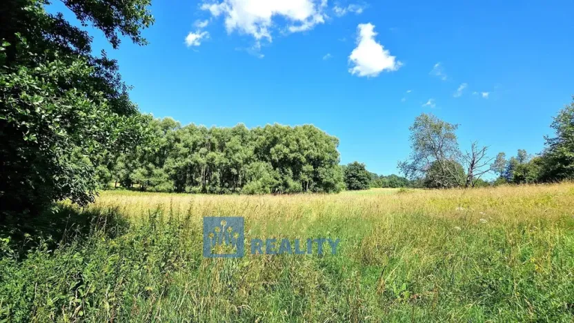 Prodej louky, Trutnov - Babí, 22776 m2