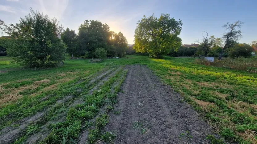 Prodej rodinného domu, Hrušovany u Brna, Palackého, 200 m2