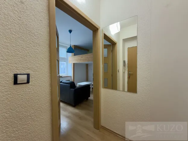 Pronájem bytu 1+kk, Plzeň, Rubešova, 25 m2