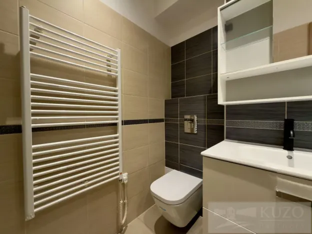 Pronájem bytu 1+kk, Plzeň, Rubešova, 25 m2