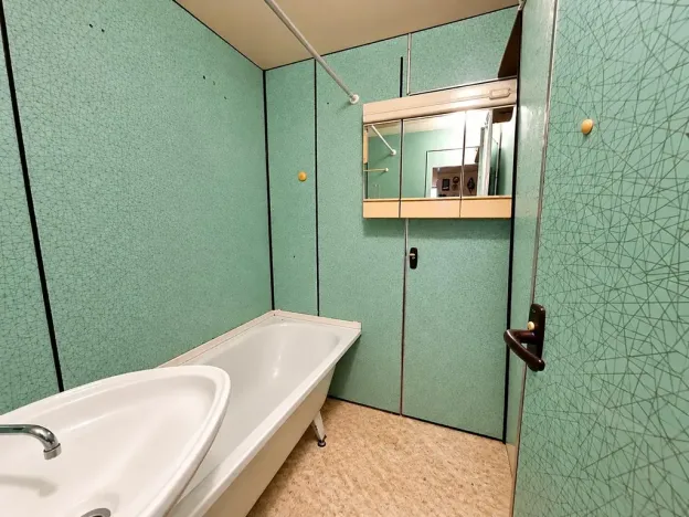 Prodej bytu 3+1, Sokolov, Mánesova, 70 m2