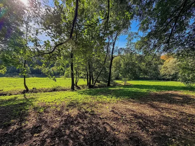 Prodej pozemku pro bydlení, Řepníky, 19850 m2