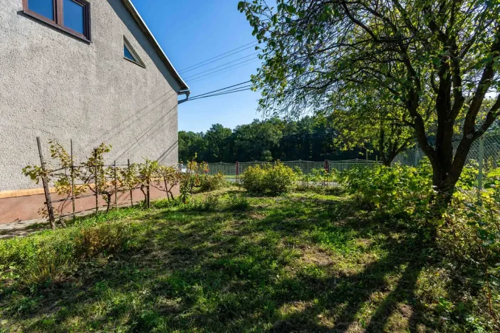 Prodej rodinného domu, Horní Bludovice - Prostřední Bludovice, 130 m2