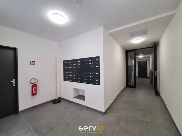 Pronájem bytu 1+1, Brno - Zábrdovice, Hvězdová, 46 m2