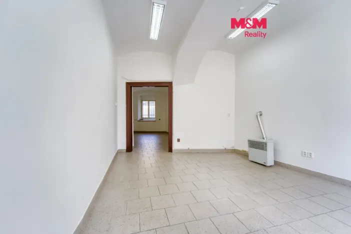 Pronájem obchodního prostoru, Plzeň - Jižní Předměstí, Palackého, 48 m2