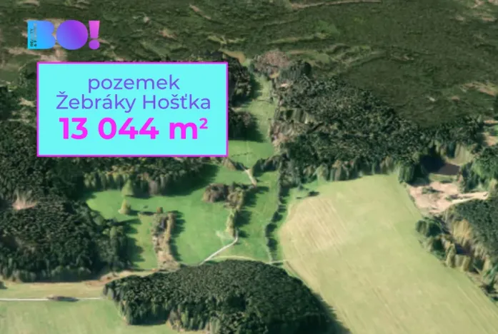 Prodej pole, Hošťka - Žebráky, 13044 m2
