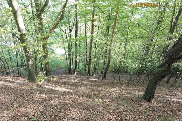Prodej rodinného domu, Konice - Čunín, 97 m2