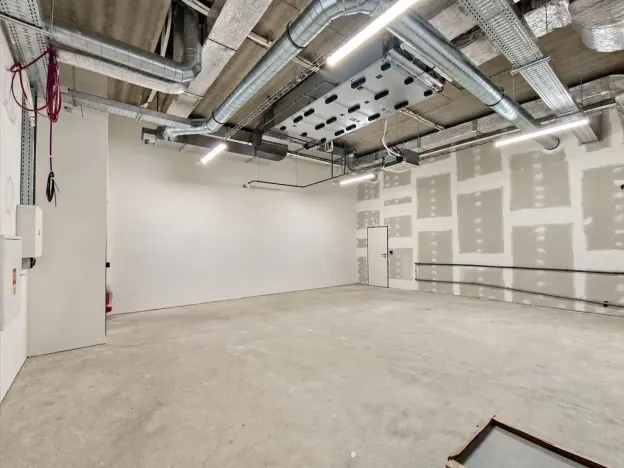 Pronájem skladu, Brno, okres brno-město, Bohunická, 65 m2