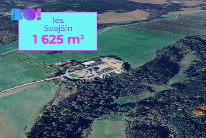 Prodej lesa, Svojšín, 1625 m2