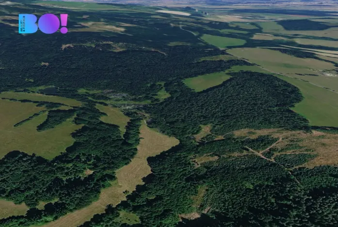 Prodej pole, Přimda, 1600 m2