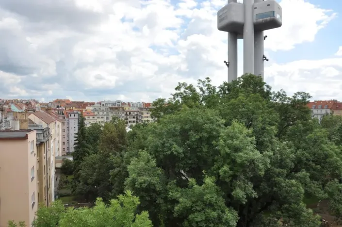 Pronájem bytu 1+1, Praha - Žižkov, Kubelíkova, 56 m2