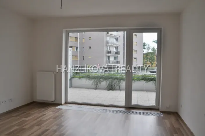 Pronájem bytu 1+kk, České Budějovice - České Budějovice 2, Volejbalistů, 30 m2