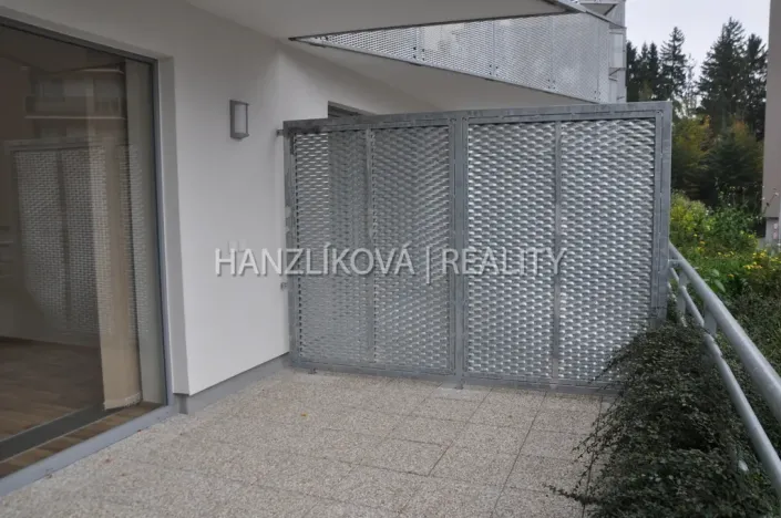 Pronájem bytu 1+kk, České Budějovice - České Budějovice 2, Volejbalistů, 30 m2