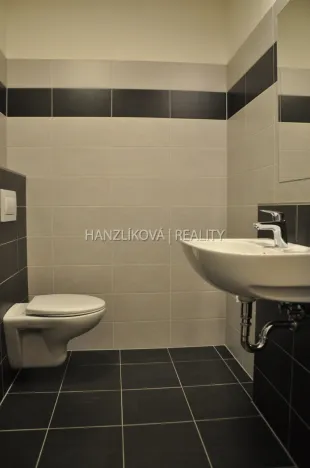 Pronájem bytu 1+kk, České Budějovice - České Budějovice 2, Volejbalistů, 30 m2